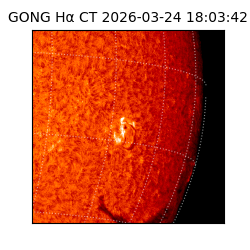 gong - 2026-03-24T18:03:42