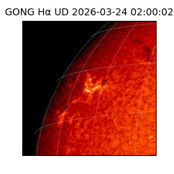 gong - 2026-03-24T02:00:02