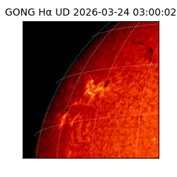 gong - 2026-03-24T03:00:02