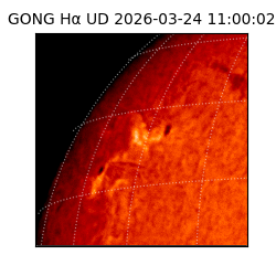 gong - 2026-03-24T11:00:02