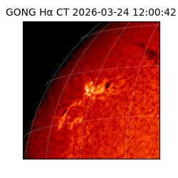 gong - 2026-03-24T12:00:42