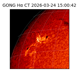 gong - 2026-03-24T15:00:42
