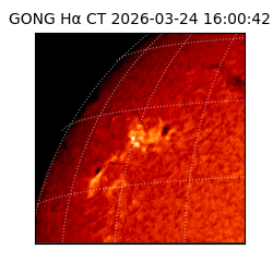 gong - 2026-03-24T16:00:42