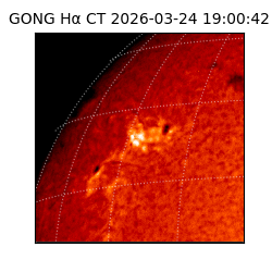 gong - 2026-03-24T19:00:42