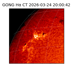 gong - 2026-03-24T20:00:42