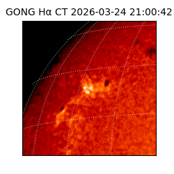 gong - 2026-03-24T21:00:42