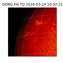 gong - 2026-03-24T10:02:22