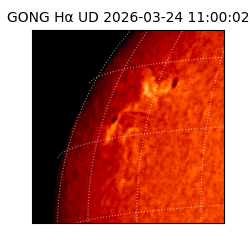 gong - 2026-03-24T11:00:02