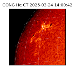 gong - 2026-03-24T14:00:42