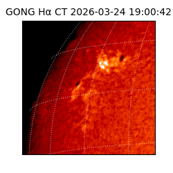 gong - 2026-03-24T19:00:42