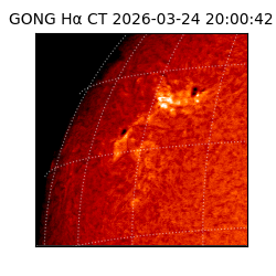 gong - 2026-03-24T20:00:42