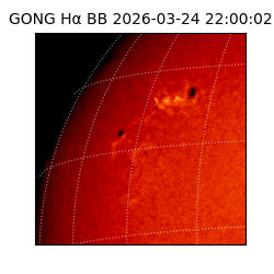 gong - 2026-03-24T22:00:02