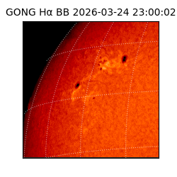 gong - 2026-03-24T23:00:02