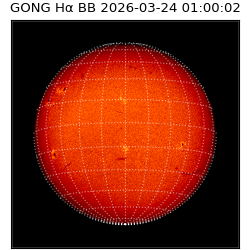 gong - 2026-03-24T01:00:02