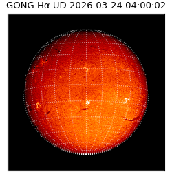 gong - 2026-03-24T04:00:02