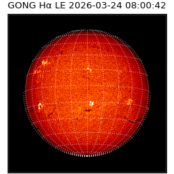 gong - 2026-03-24T08:00:42
