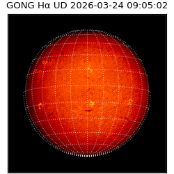 gong - 2026-03-24T09:05:02