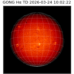 gong - 2026-03-24T10:02:22