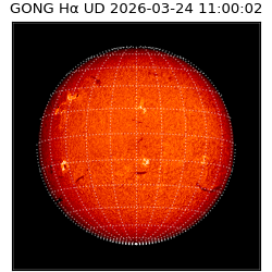 gong - 2026-03-24T11:00:02