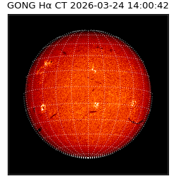 gong - 2026-03-24T14:00:42