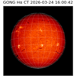 gong - 2026-03-24T16:00:42