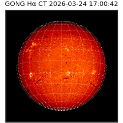 gong - 2026-03-24T17:00:42