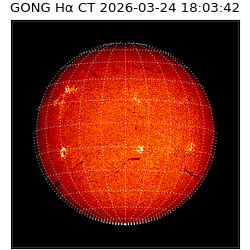 gong - 2026-03-24T18:03:42