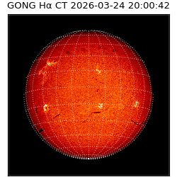 gong - 2026-03-24T20:00:42