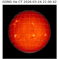 gong - 2026-03-24T21:00:42