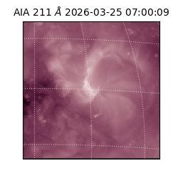 saia - 2026-03-25T07:00:09.622000