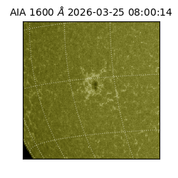 saia - 2026-03-25T08:00:14.123000