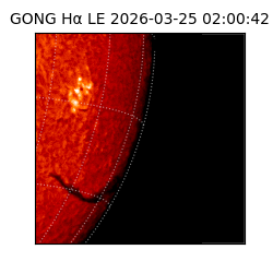 gong - 2026-03-25T02:00:42
