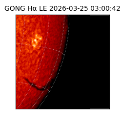 gong - 2026-03-25T03:00:42