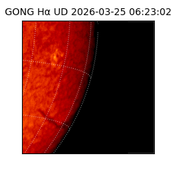 gong - 2026-03-25T06:23:02