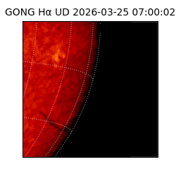 gong - 2026-03-25T07:00:02