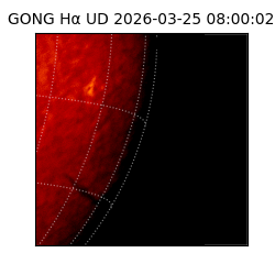 gong - 2026-03-25T08:00:02