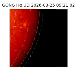 gong - 2026-03-25T09:21:02