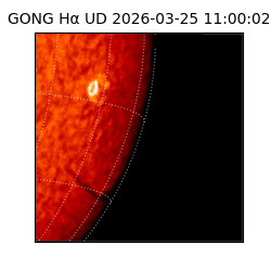 gong - 2026-03-25T11:00:02