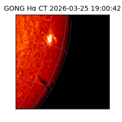 gong - 2026-03-25T19:00:42