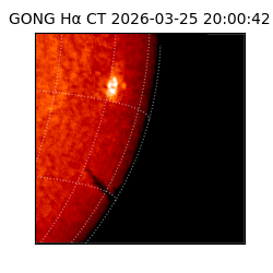 gong - 2026-03-25T20:00:42