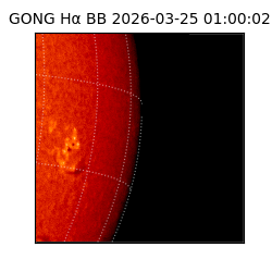 gong - 2026-03-25T01:00:02