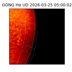 gong - 2026-03-25T05:00:02