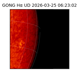 gong - 2026-03-25T06:23:02
