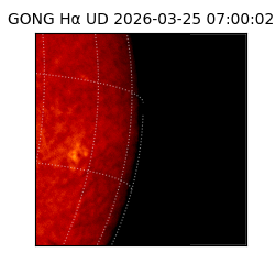 gong - 2026-03-25T07:00:02