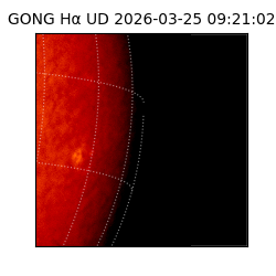 gong - 2026-03-25T09:21:02