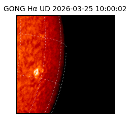 gong - 2026-03-25T10:00:02