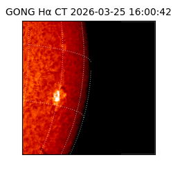 gong - 2026-03-25T16:00:42
