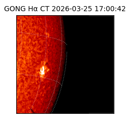 gong - 2026-03-25T17:00:42
