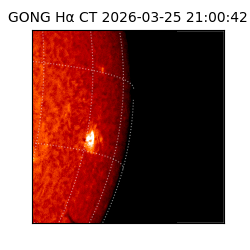 gong - 2026-03-25T21:00:42