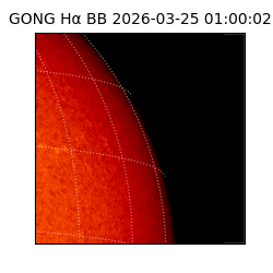 gong - 2026-03-25T01:00:02